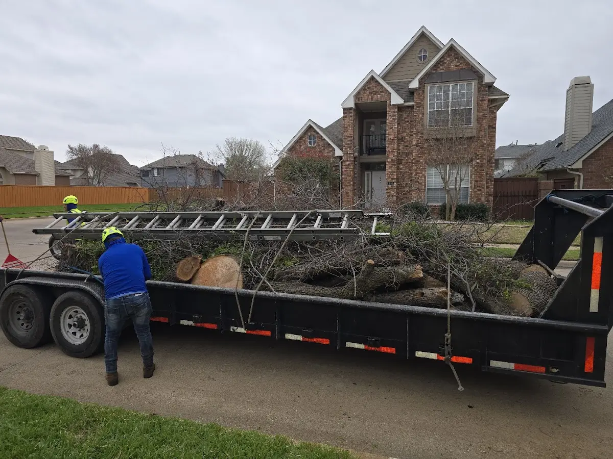 Expert Tree Removal with proper safety equipment in Daleville
